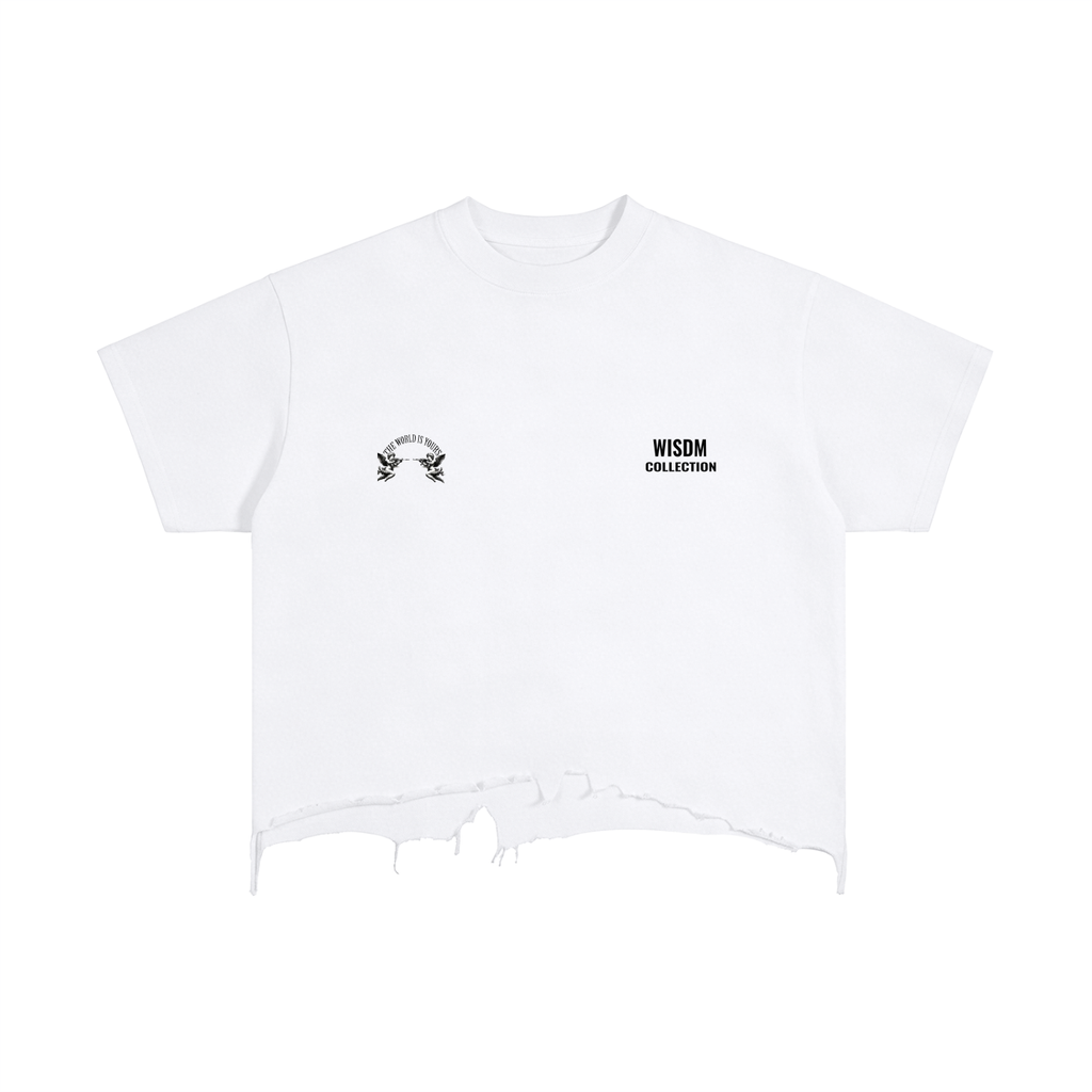 WISDM COLLECTION