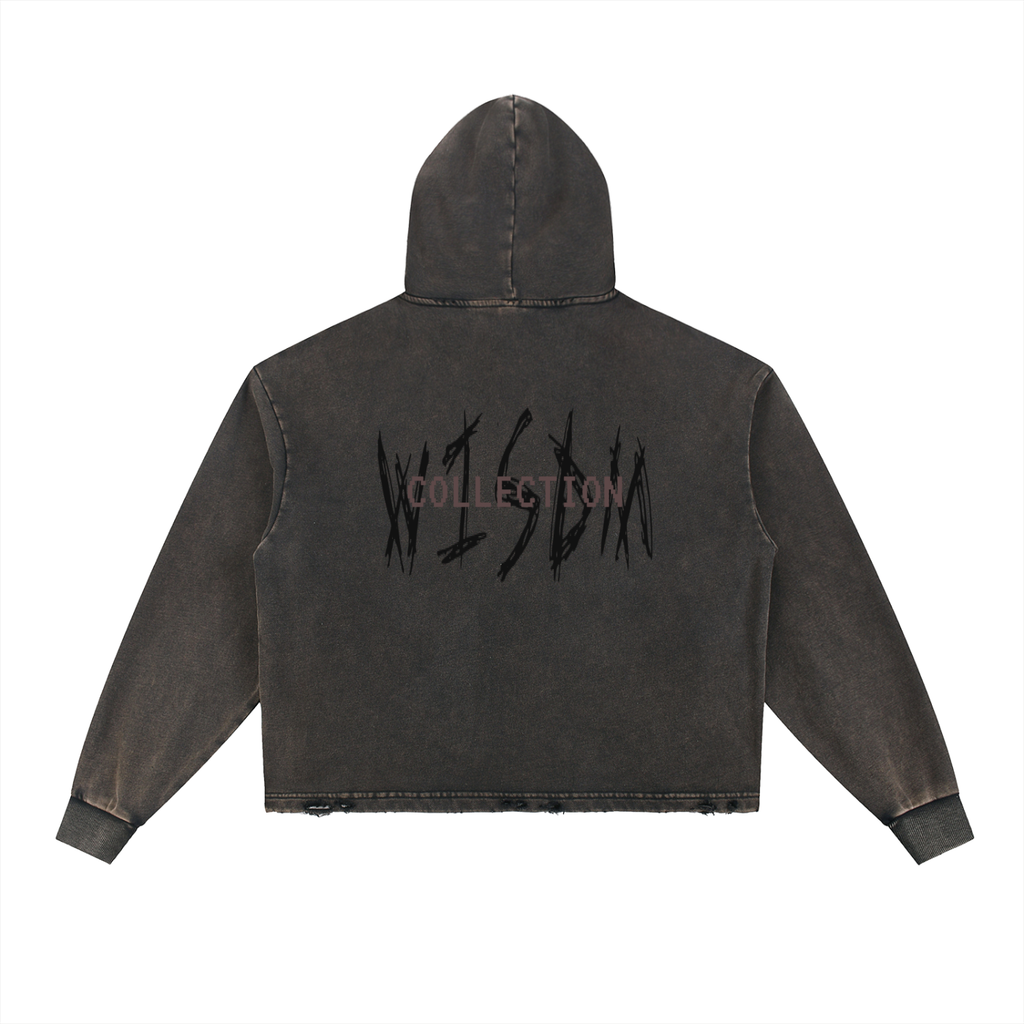 WISDM COLLECTION