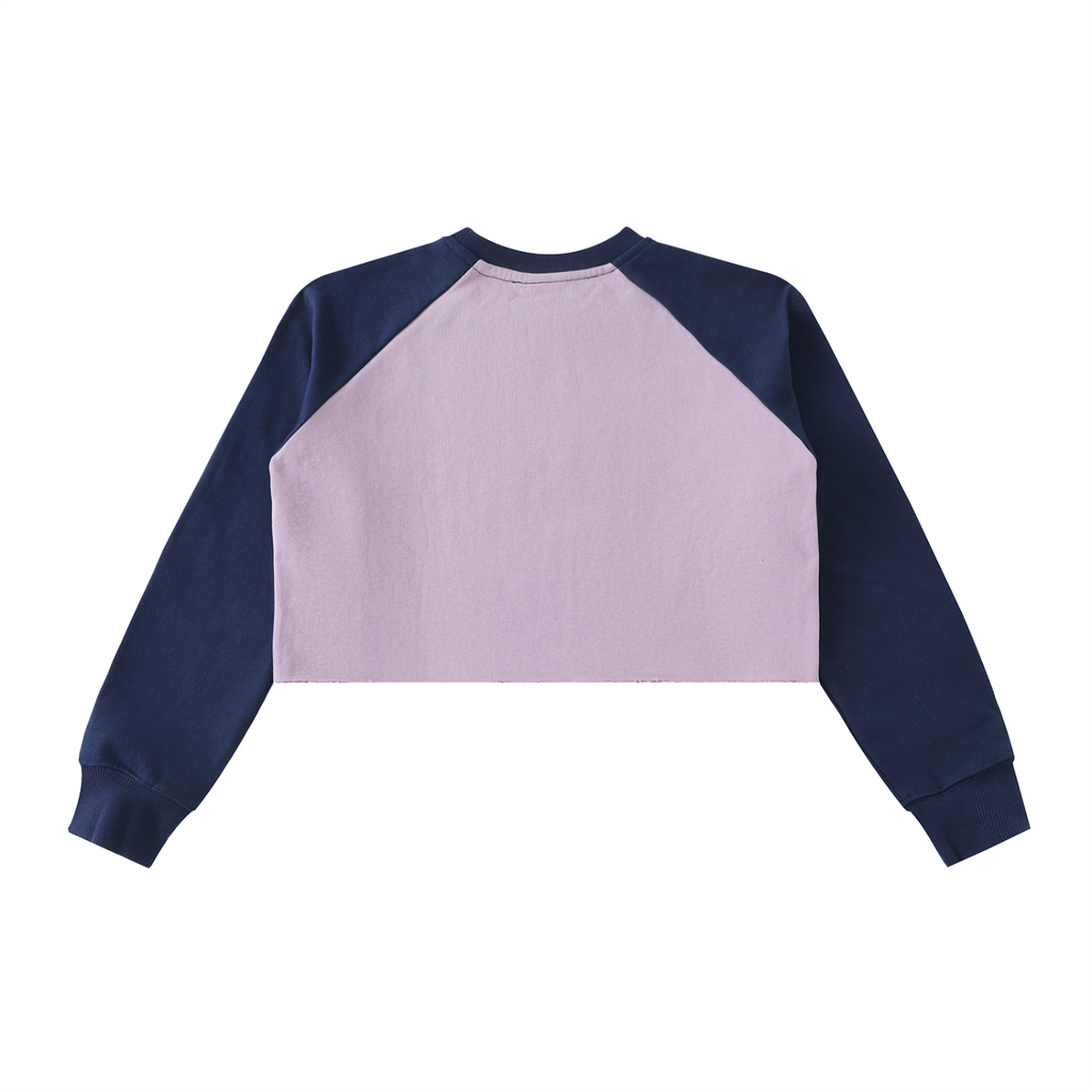WISDM COLLECTION