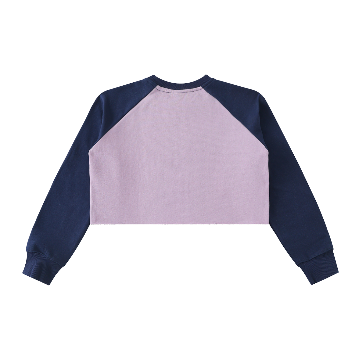 WISDM COLLECTION